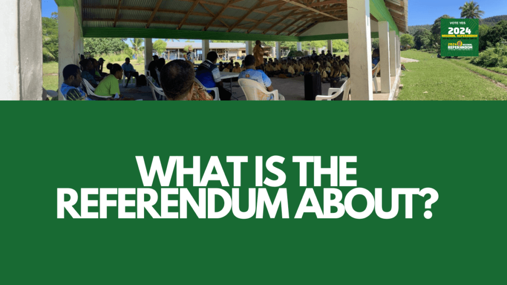 What is the 2024 Referendum About?